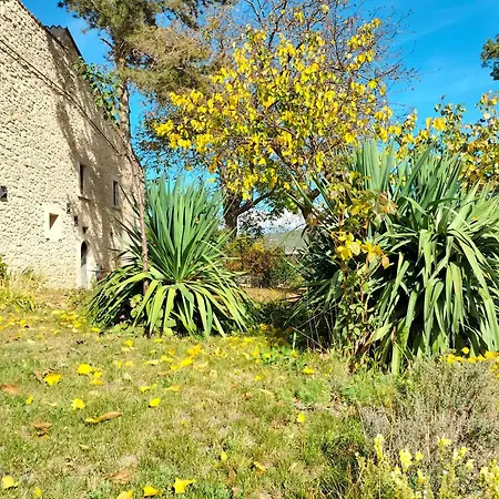 Oda ve Kahvaltı Dimora Al Colle Caporciano