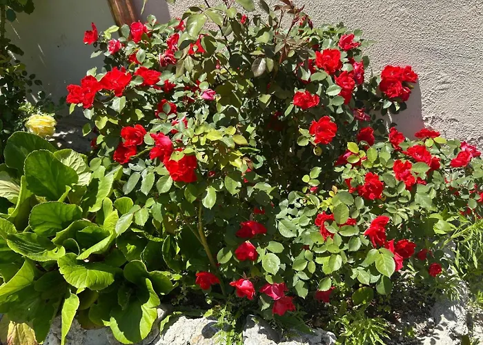 Dimora Al Colle Oda ve Kahvaltı Caporciano